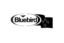 Bluebird